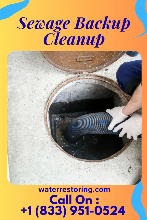 Sewage Backup Cleanup in Belle Plaine, IA